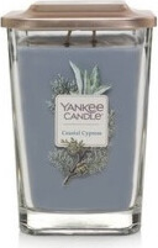 - Elevation Coastal Cypress Candle - Scented candle 347.0g