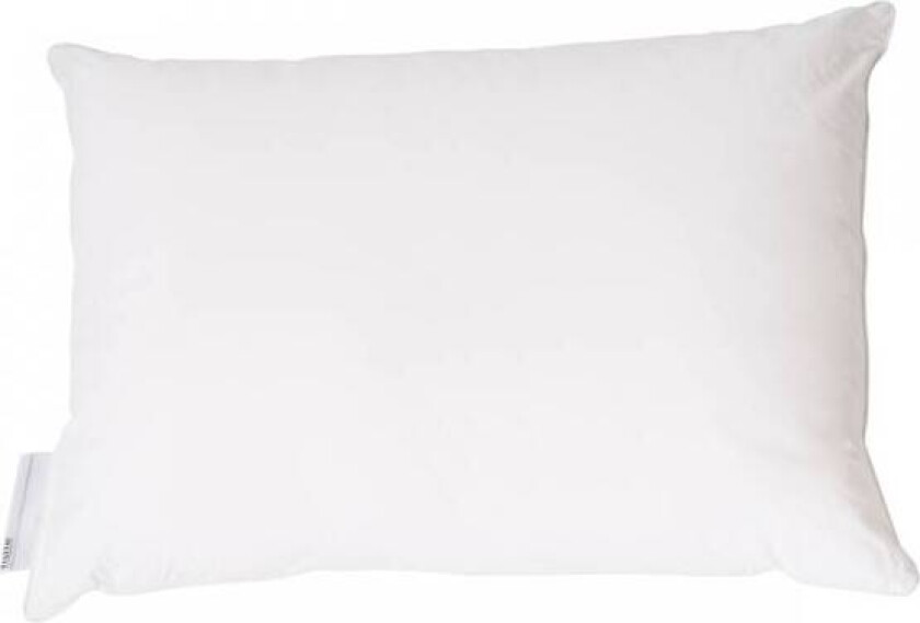 Bilde av Storpute Dun 70x100