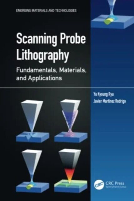 Scanning Probe Lithography av Yu Kyoung Ryu, Javier Martinez Rodrigo