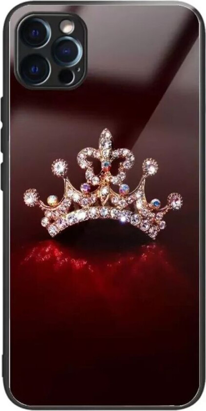 iPhone 14 Pro Deksel m. Glassbakside - Krone