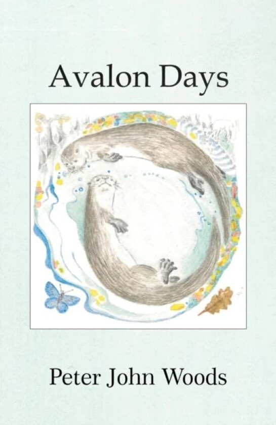 Avalon Days av Peter John Woods