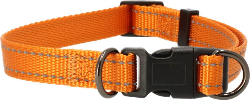 DOGMAN Justerbart halsband Iris