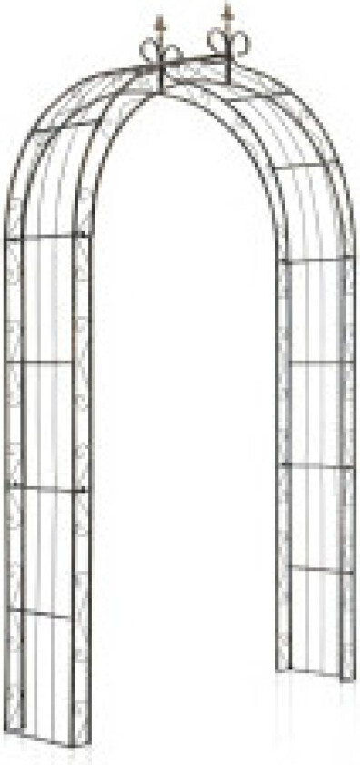 Rose Arch Sun Bronse