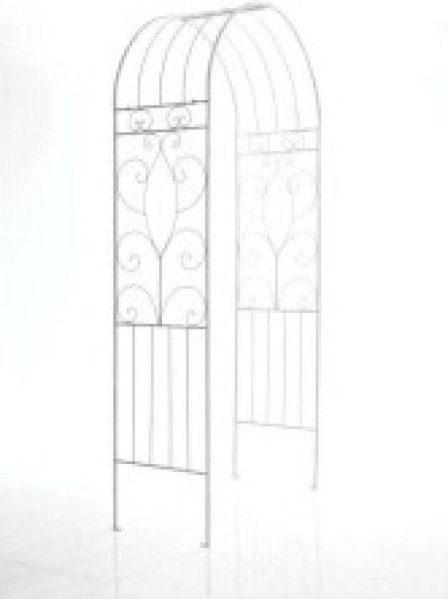 Rose arch vil Antikk Hvit