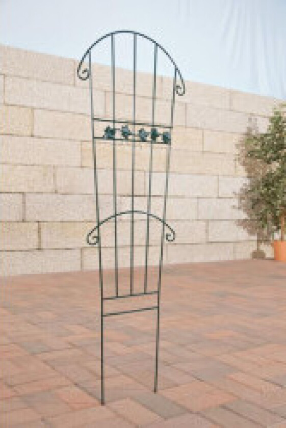 Trellis Blader Grønn