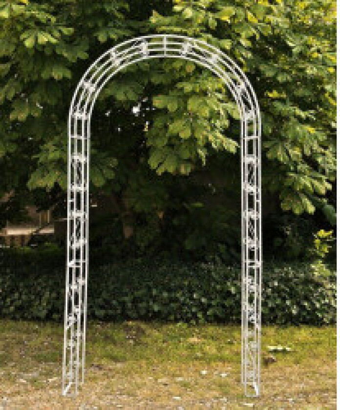Rosebue sommer Antikk Hvit