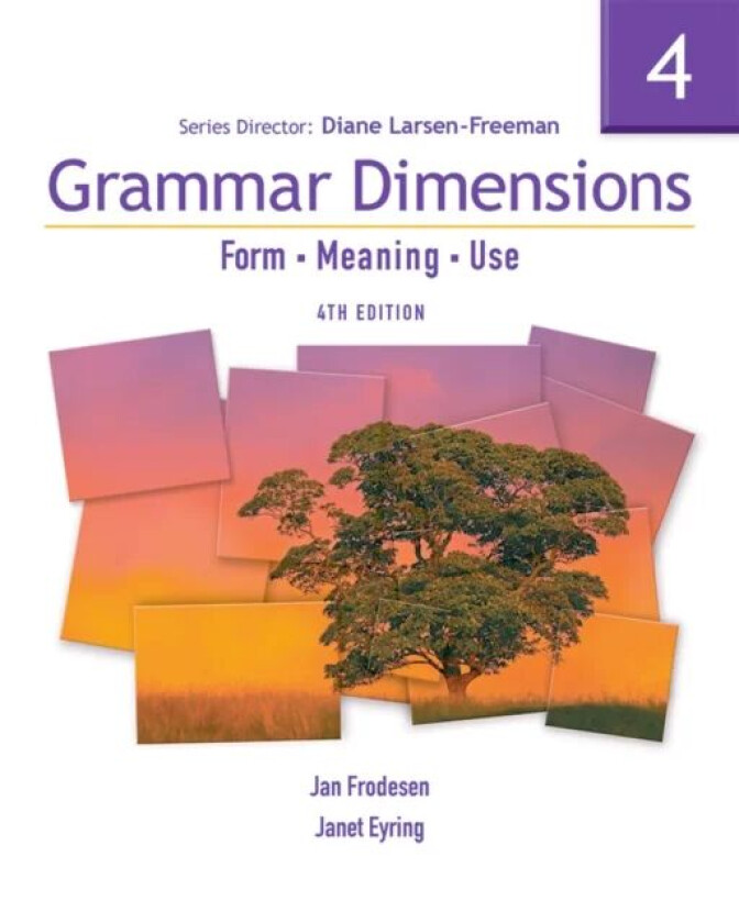 Grammar Dimensions 4 av Diane Larsen-Freeman