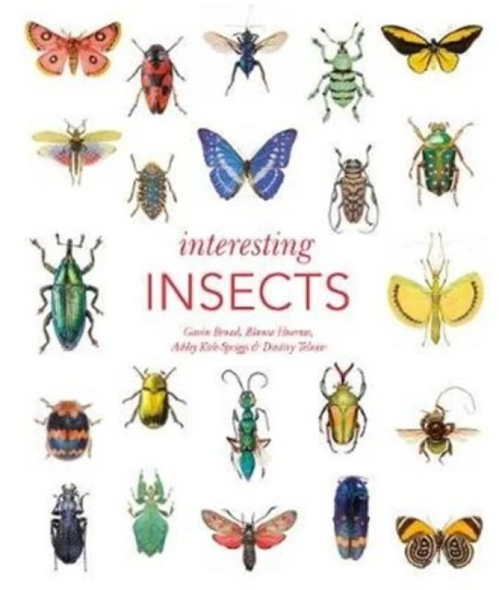 Interesting Insects av Gavin Broad, Ashley Kirk-Spriggs, Dmitry Telnov, Blanca Huertas