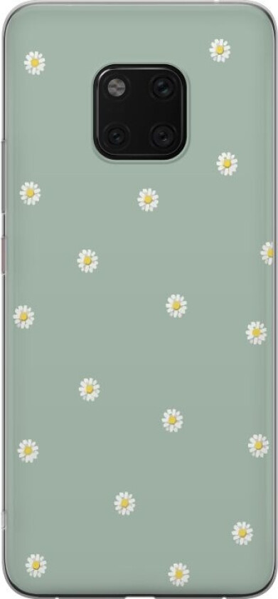 Mobildeksel til Huawei Mate 20 Pro med Prestekrage motiv