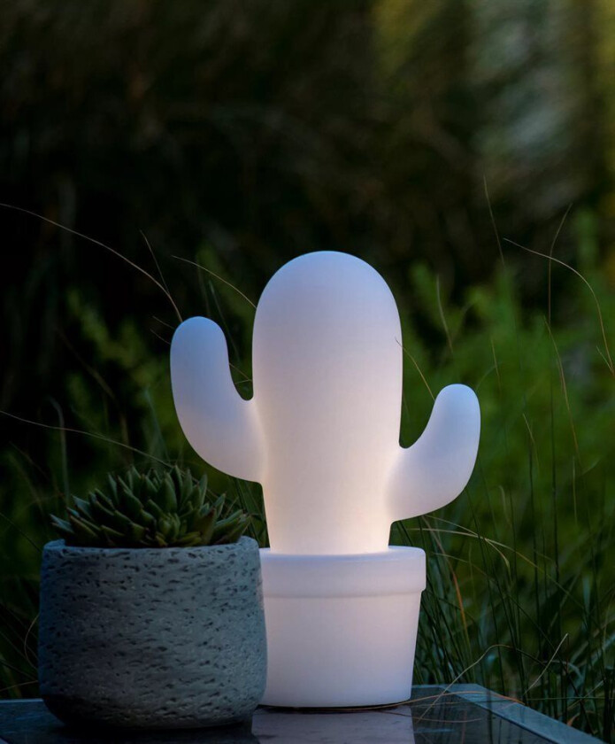 Cactus Bordlampe