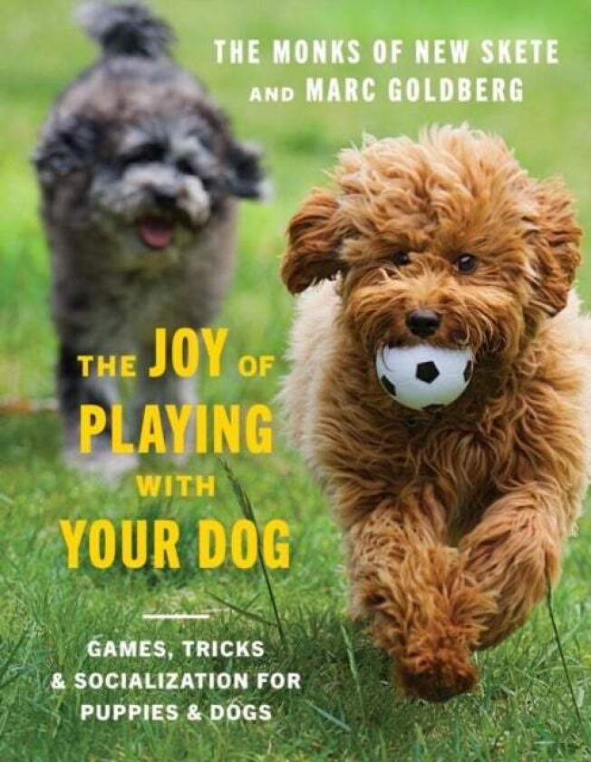 The Joy Of Playing With Your Dog Av Monks Of New Skete, Marc Goldberg