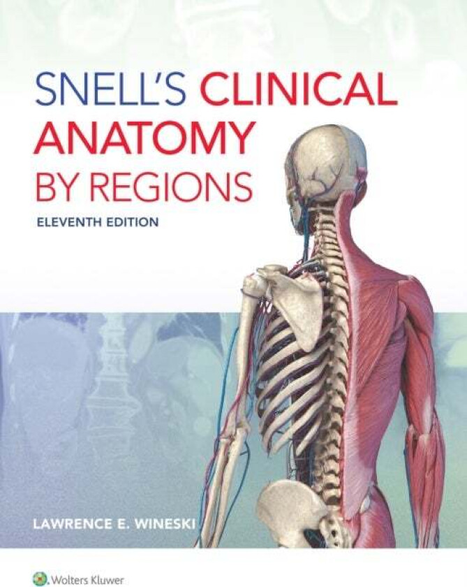Snell'S Clinical Anatomy By Regions Av Dr. Lawrence E. Wineski
