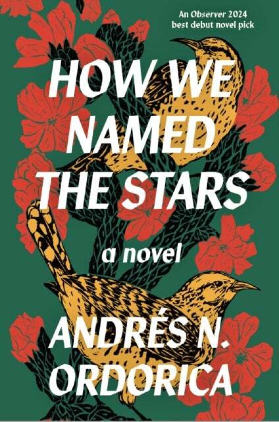 How We Named The Stars Av Andres N. Ordorica