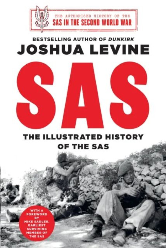 SAS av Joshua Levine