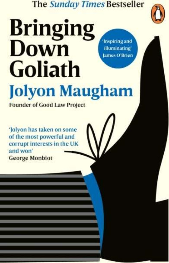 Bringing Down Goliath Av Jolyon Maugham