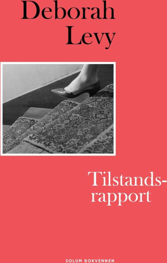 Tilstandsrapport Av Deborah Levy