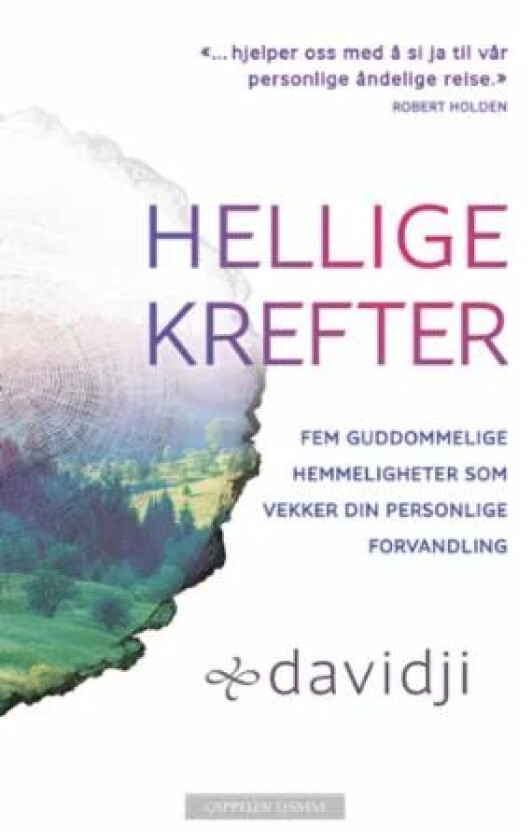 Hellige krefter av Davidji