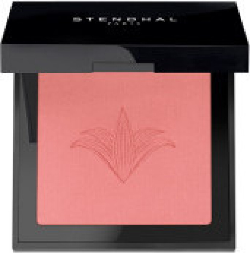 Øyenskygge Stendhal Nº 301 Highlighter (5,5 g)