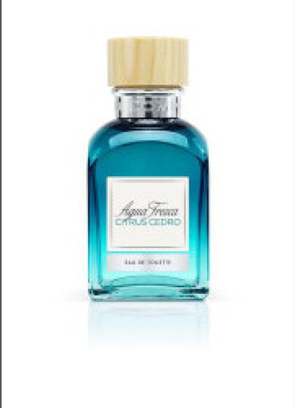 Herre parfyme Adolfo Dominguez EDT 120 ml