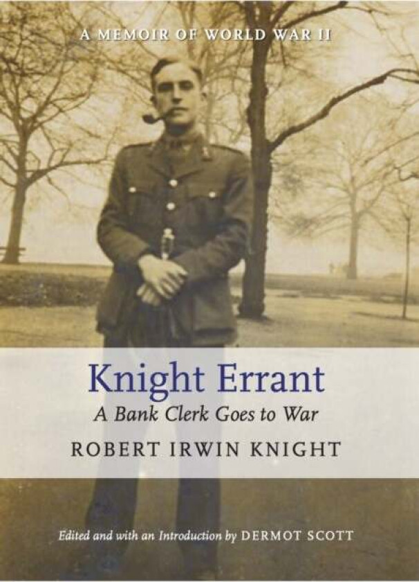 Knight Errant Av Robert Irwin Knight