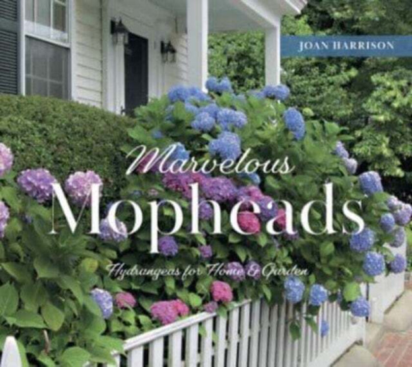Marvelous Mopheads Av Joan Harrison