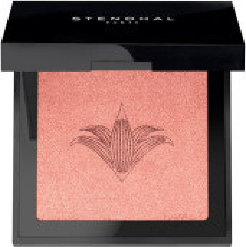 Øyenskygge Stendhal Highlighter Nº 300 (5,5 g)