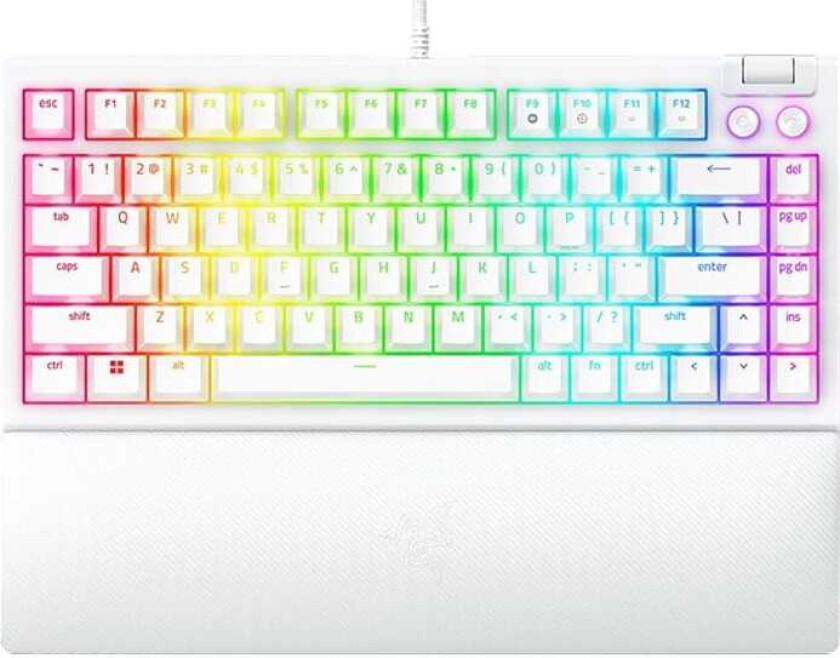 BlackWidow V4 - Tastatur - bakgrunnsbelyst