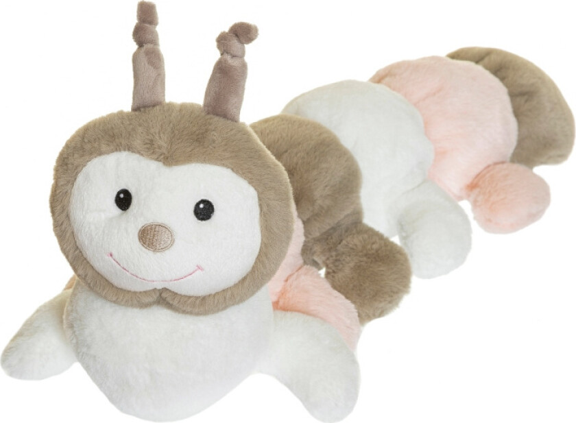 Teddy Forest Centipede Rose