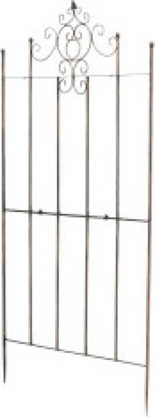 Trellis Paula bronse