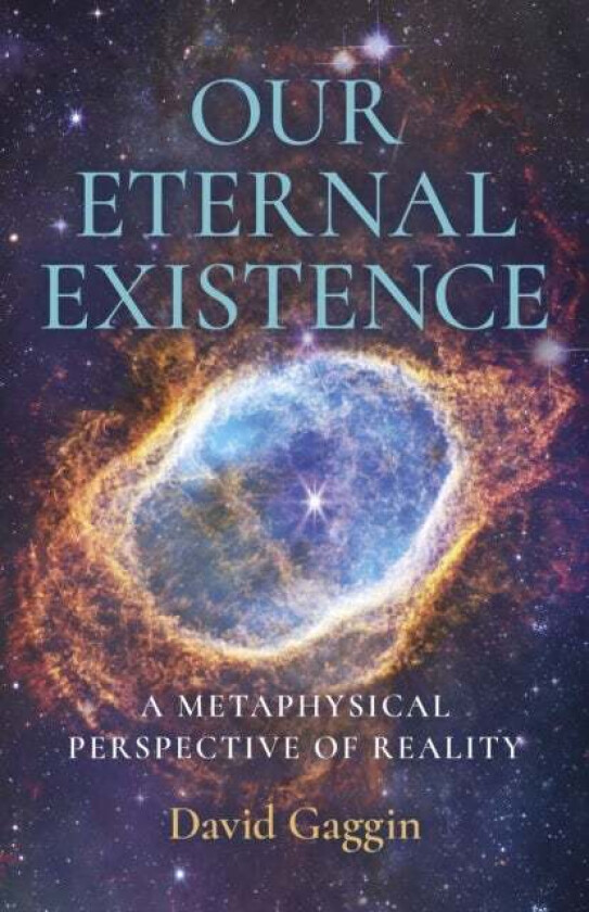 Our Eternal Existence av David Gaggin