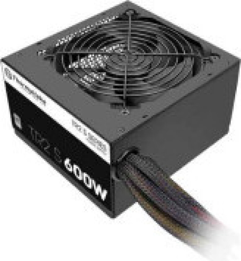 TR2 S 600W - Strømforsyning (intern) - ATX12V 2.3/ EPS12V - 80 PLUS - AC 230 V - 600 watt - aktiv PFC - Europa - svart