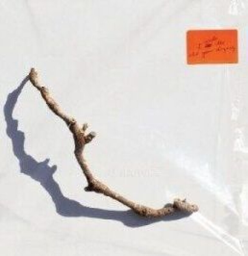 Harvey Pj - I Inside The Old Year Dying