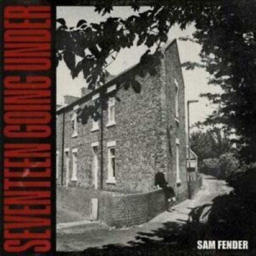 Sam - Seventeen Going Under