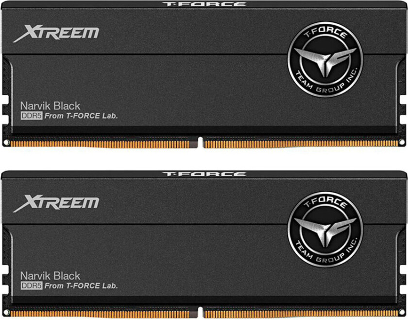 T-FORCE XTREEM - DDR5 - sett - 48 GB: 2 x 24 GB - DIMM 288-pin - 7600 MHz / PC5-60800 - CL36 - 1.4 V - registrert - on-die ECC - svart