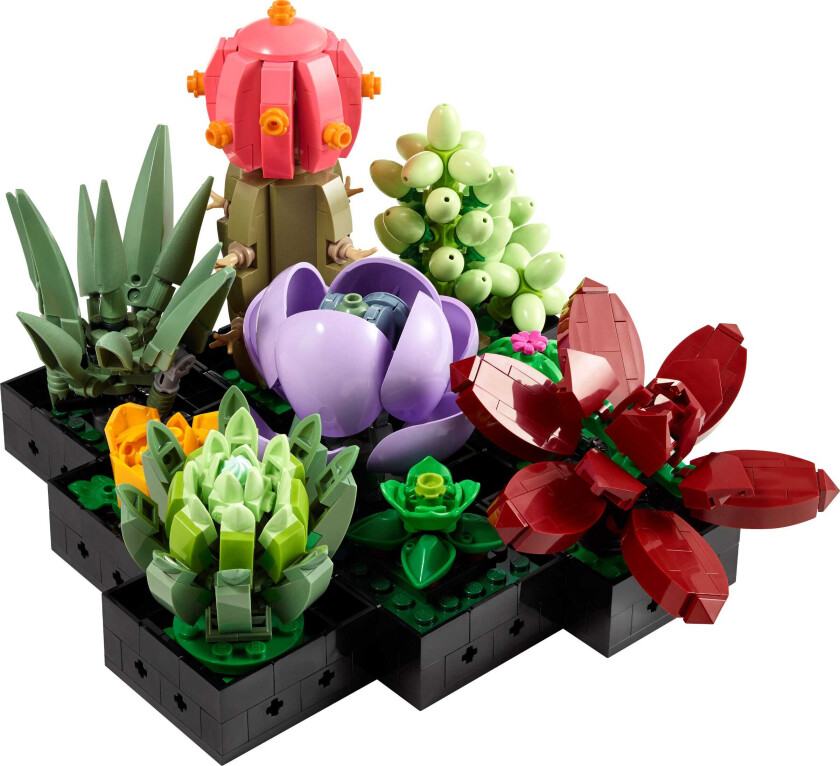 Botanicals Sukkulenter 10309