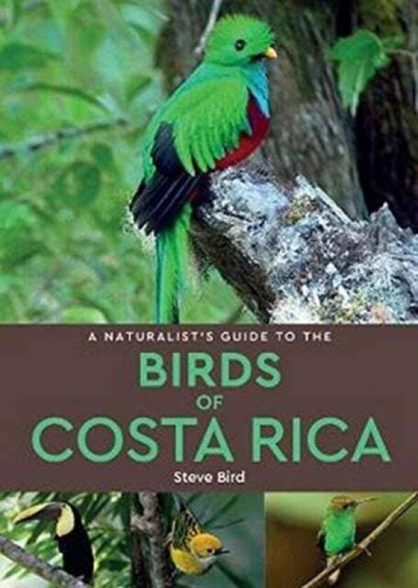 A Naturalist¿s Guide to the Birds of Costa Rica (2nd edition) av Steve Bird