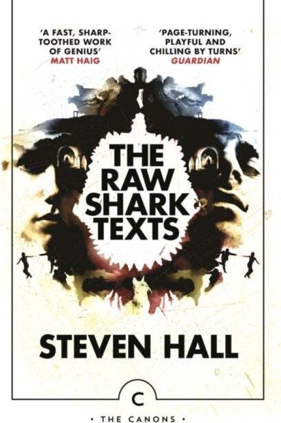 The Raw Shark Texts av Steven Hall