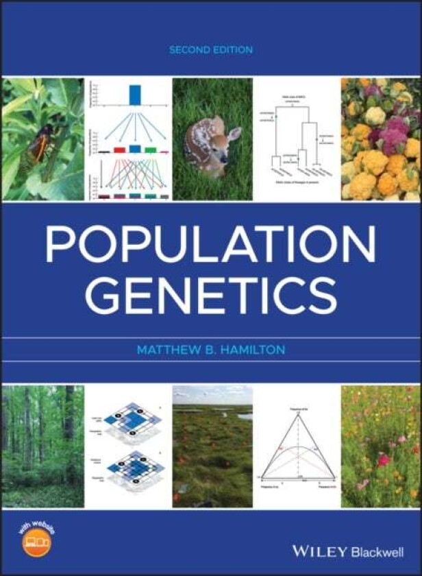 Population Genetics av Matthew B. Hamilton