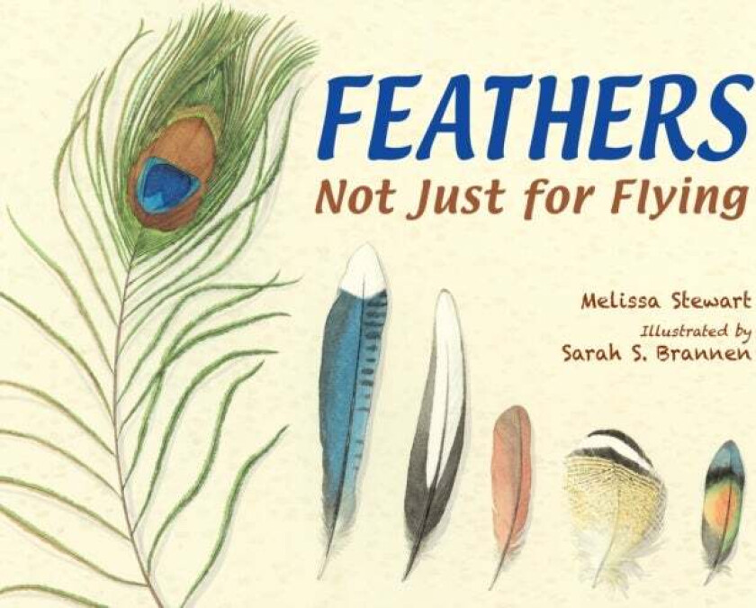 Feathers av Melissa Stewart
