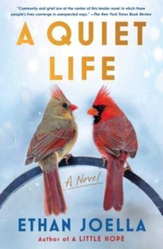 A Quiet Life av Ethan Joella