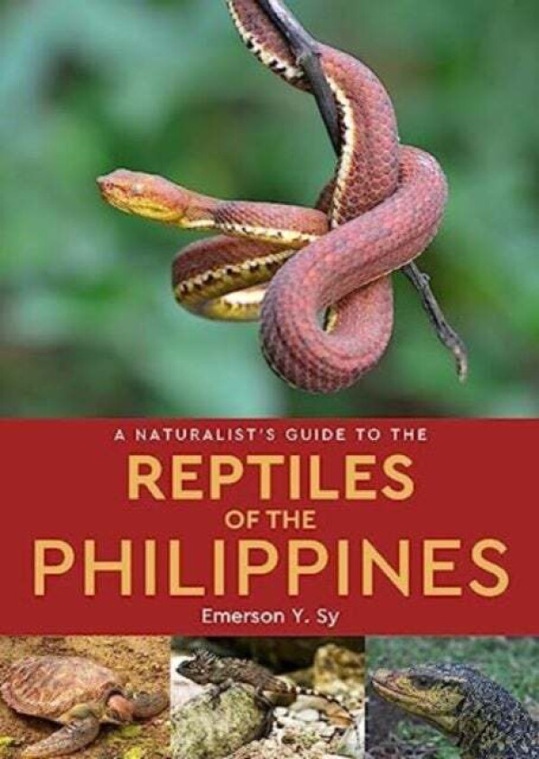 A Naturalist's Guide to the Reptiles of the Philippines av Emerson Sy