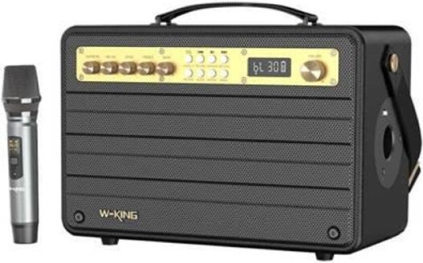 Wireless Bluetooth Speaker K6S 100W (black)