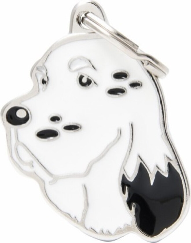 New English Setter dog tag