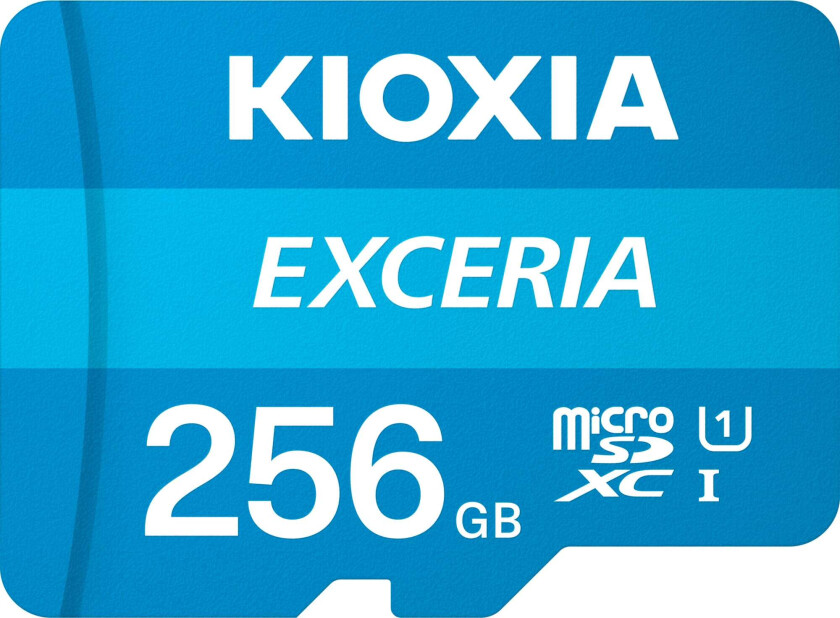 EXERCIA MicroSDXC/SDXC - 256GB
