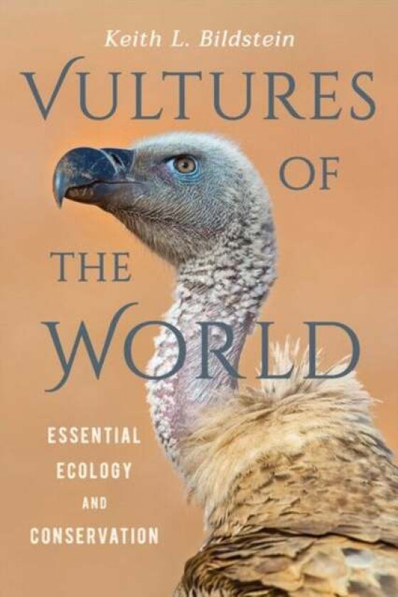 Vultures of the World av Keith L. Bildstein