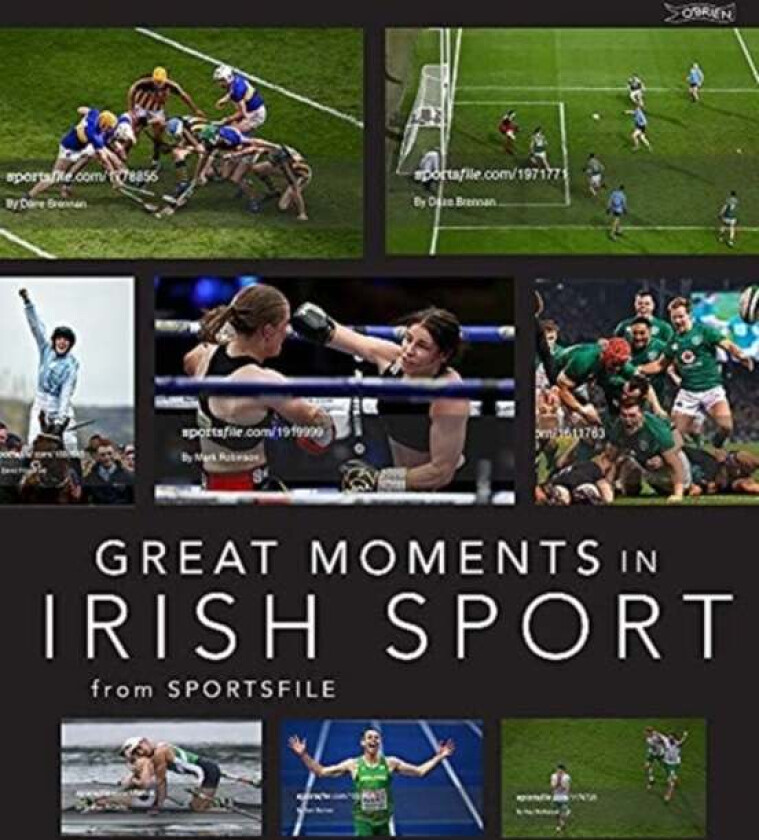 Great Moments in Irish Sport av Sportsfile