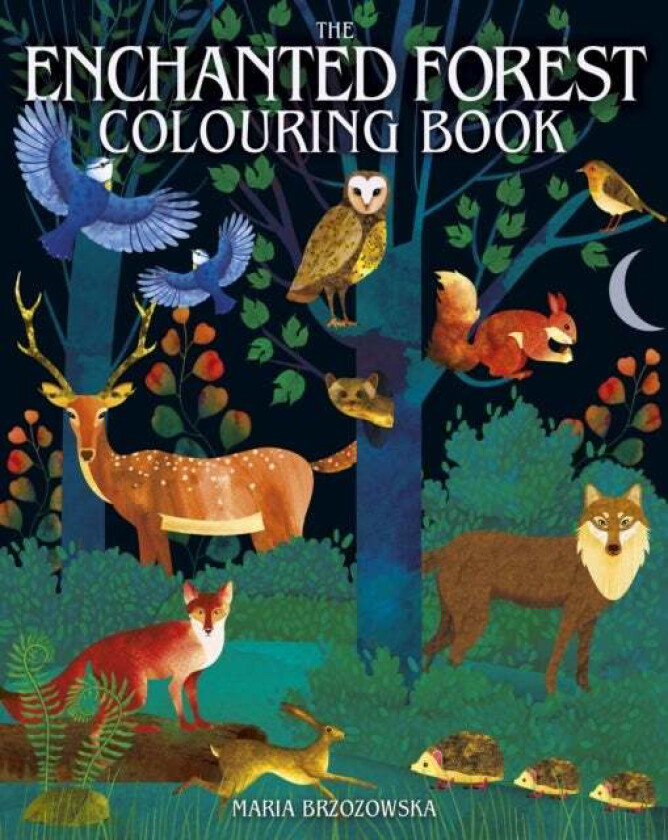 The Enchanted Forest Colouring Book av Maria Brzozowska