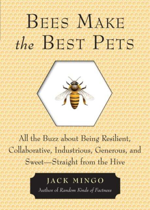 Bees Make the Best Pets av Jack (Jack Mingo) Mingo