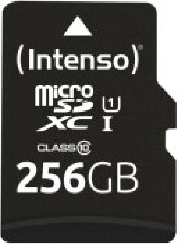 microSD 256GB UHS-I Perf CL10| Performance