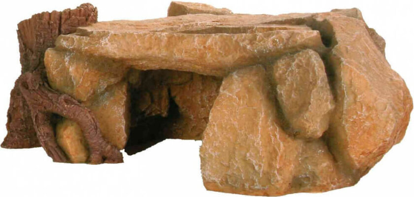 Bilde av Rock Plateau with Tree Stump